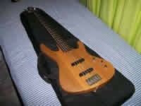 Contra baixo Washburn 5 cordas